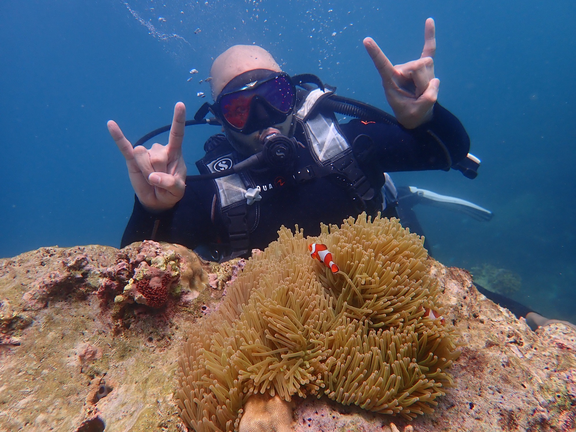 Lee Lambert diving